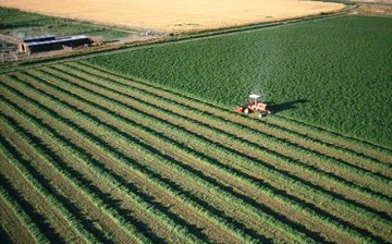 Cât costă un hectar de teren agricol în Bulgaria